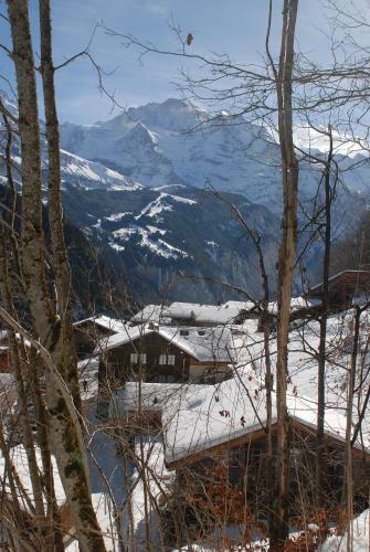 Hotel-restaurant Waldrand
