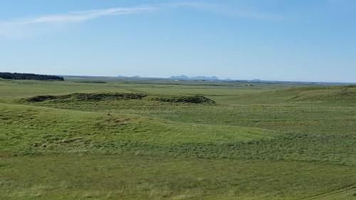 Beindalsholt