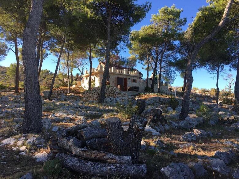 House Vesna
