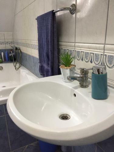 Hostel Lega House