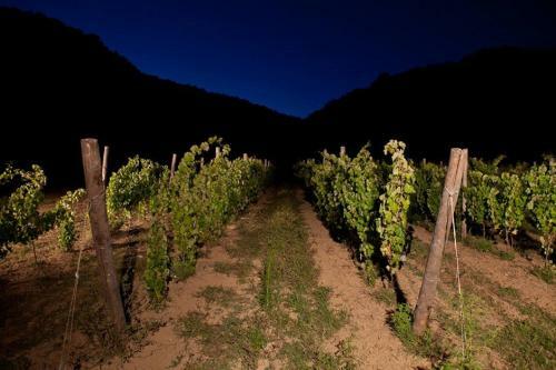 Agroturismo Cascina Formighezzo