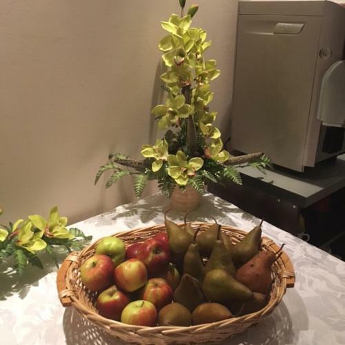 Vikt�ria Wellness Hotel