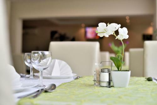 Vikt�ria Wellness Hotel