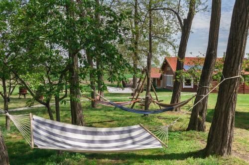 Agroturismo Akac-tanya