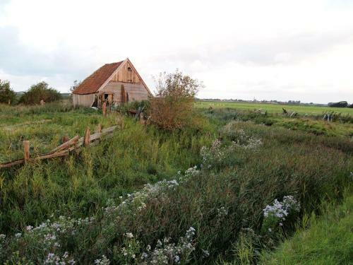 Bed & Breakfast Thuis Op Texel