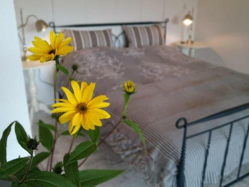 Bed & Breakfast De Rolders