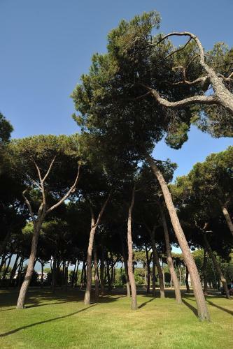 Hotel Villaggio Torre Marina