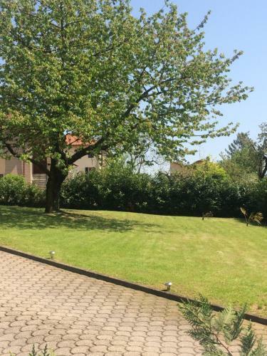 Apartamento I Ciliegi