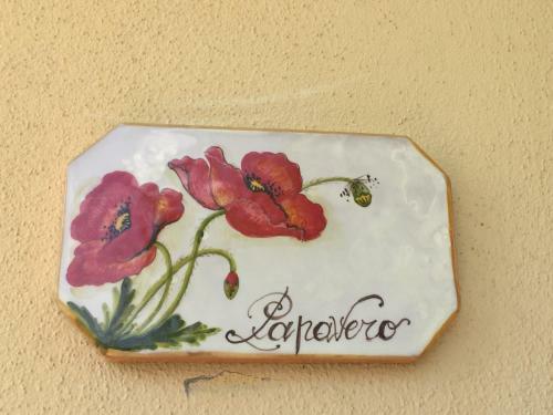Fiordisole Holiday Home