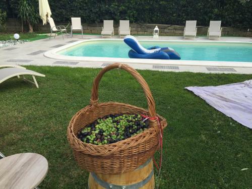 Fiordisole Holiday Home