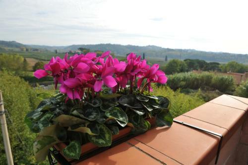 Fiordisole Holiday Home