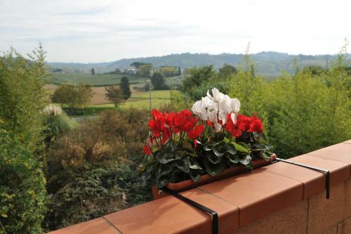 Fiordisole Holiday Home