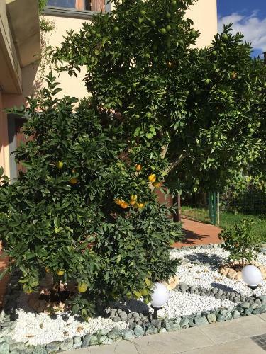 Fiordisole Holiday Home