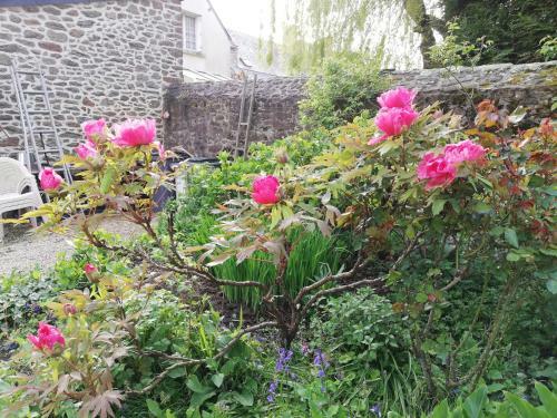 Bed & Breakfast Le Berceul