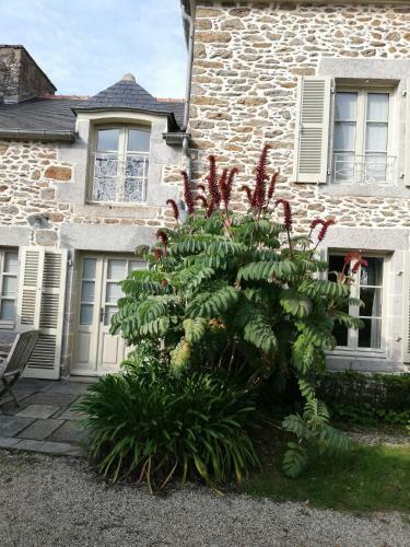 Bed & Breakfast Le Berceul