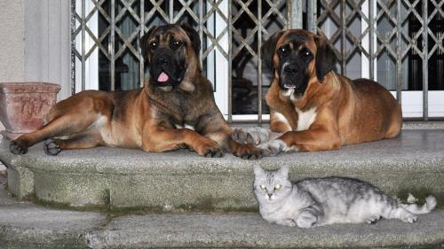 Bed & Breakfast Invilla Bnb