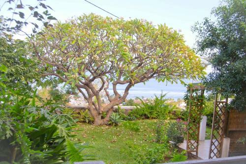 Apartamento Cap Soleil