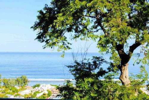 Apartamento Cap Soleil