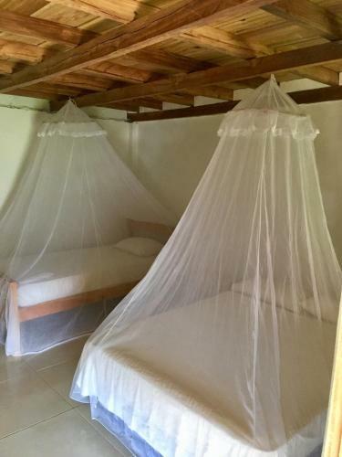 Palomino Breeze Hostal