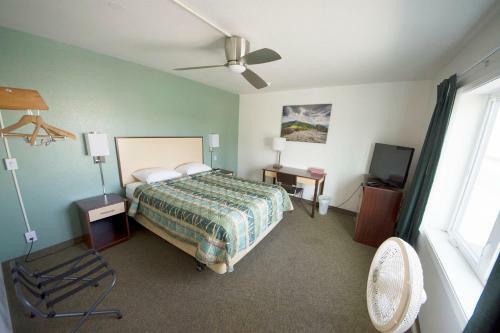 Motel Rewak Studios