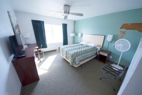 Motel Rewak Studios