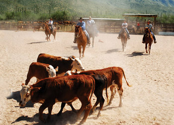 Lodge Tanque Verde Guest Ranch