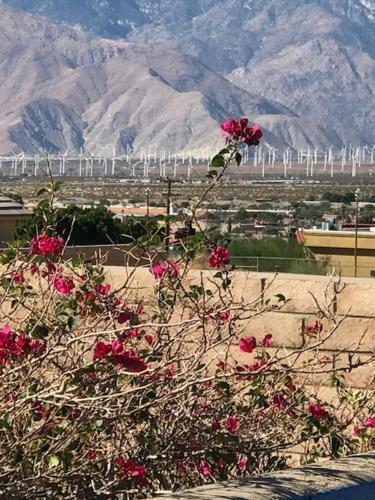 Hotel Desert Palm Spa Resort