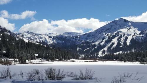 Sun Meadows 1