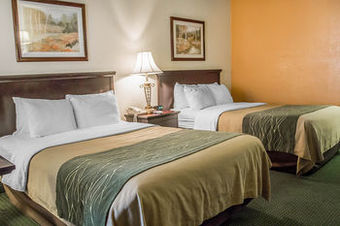 Hotel Comfort Inn University