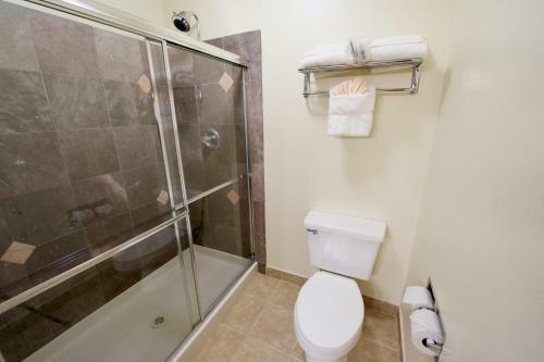 Best Western Plus Orchid Hotel & Suites