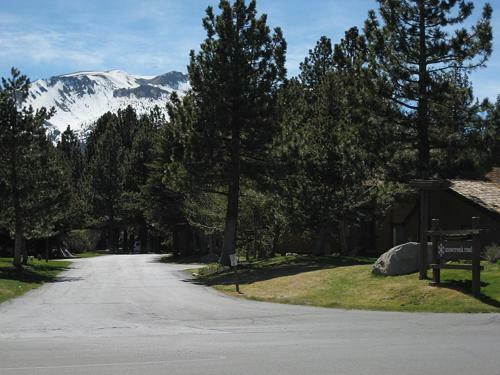 Apartamento Snowcreek 229