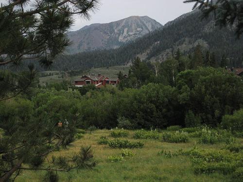 Apartamento Snowcreek 229