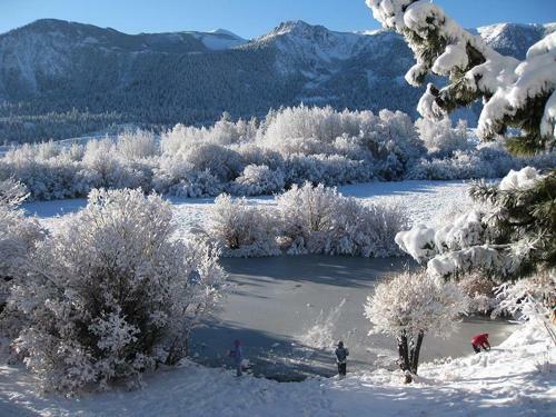 Apartamento Snowcreek 229
