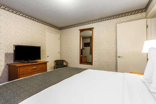 Hotel Quality Inn & Suites Santa Clara