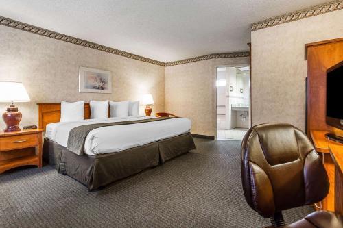 Hotel Quality Inn & Suites Santa Clara