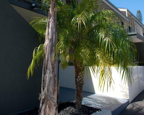 Motel Orange Tree Inn