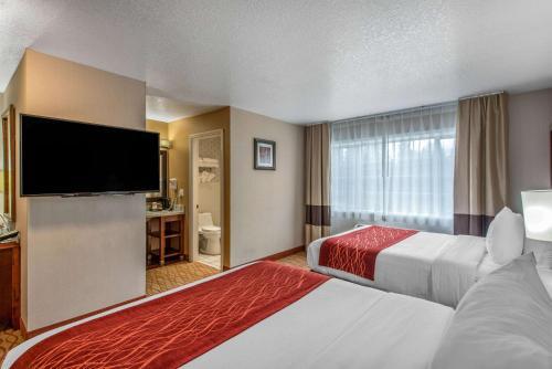 Hotel Comfort Inn Central Weed