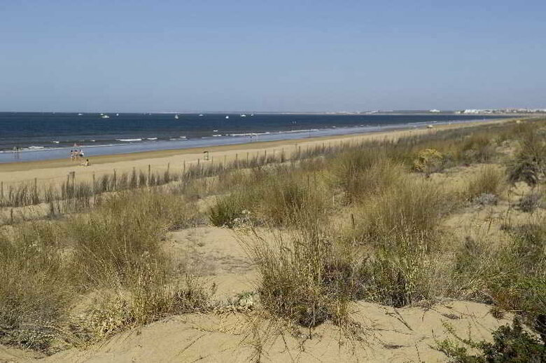 Apartamentos Leo Punta Umbr�a