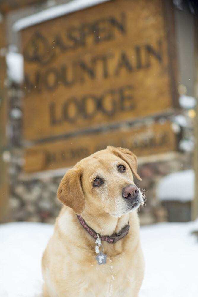 Hotel Aspen Mountain Lodge