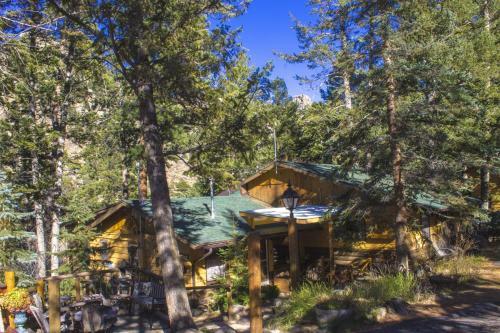 Hotel Pine Haven Resort