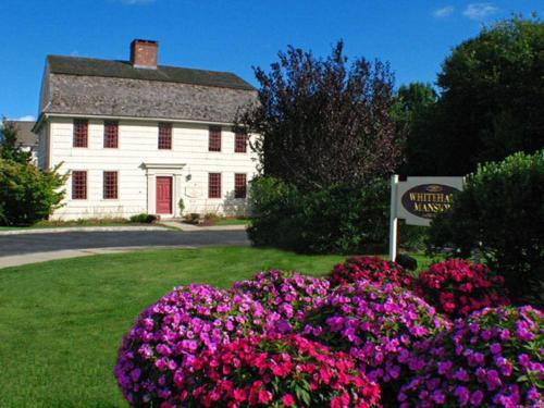 Bed & Breakfast Whitehall Mansion