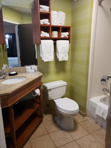 Hotel Hampton Inn Tampa-brandon