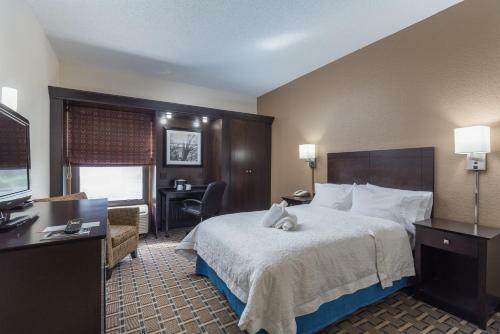 Hotel Hampton Inn Tampa-brandon