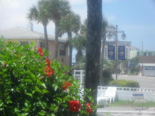 Shore Winds Motel
