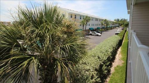 Apartamento Captain's Cove 304
