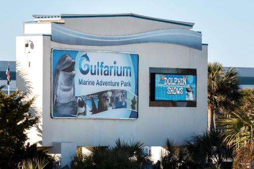 Apartamento Surf Dweller 402