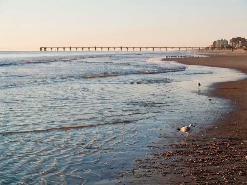 Hotel Courtyard By Marriott Jacksonville Beach Oceanfront