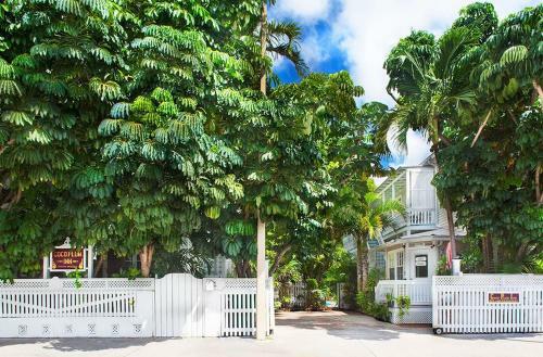 Bed & Breakfast Coco Plum Inn
