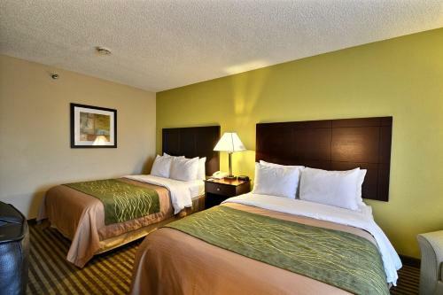 Hotel Comfort Inn & Suites Clearwater Pinellas Park