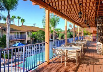 Hotel Dolphins Cove Resort